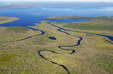 Noosa-Wetland.jpg